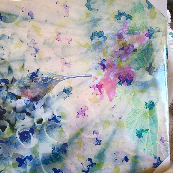 Parvez Taj hummingbird canvas - Picture 2 of 8